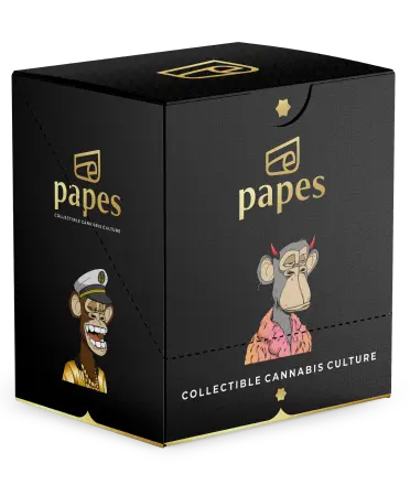 Packaging prototype for a box of papes packs